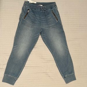 Level 99 Denim Trek Jogger